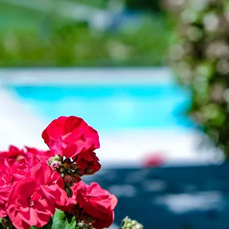 Villa La Topaia In Esclusiva